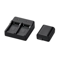 Camera Batteries (134)