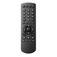 Remote Controls (6)