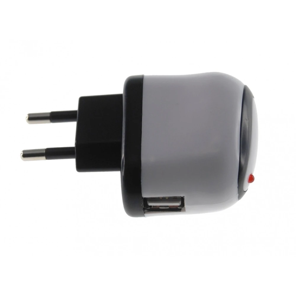 10W USB Power Adapter for iPad and iPad 2, compatible with iPod and iPhone