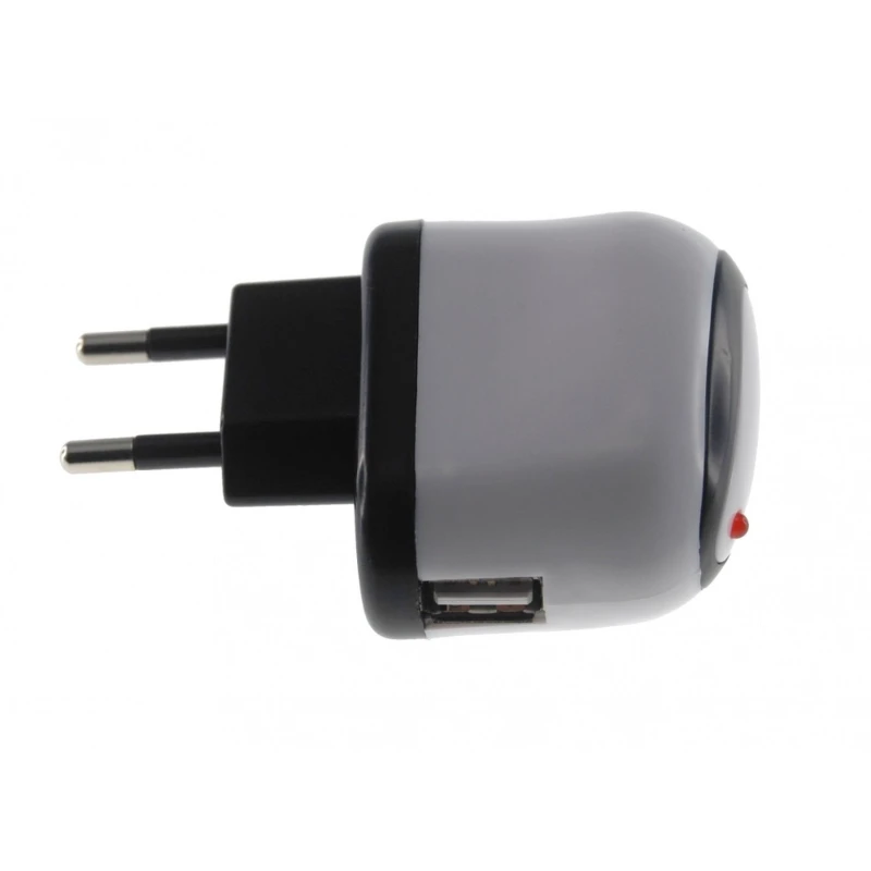 10W USB Power Adapter for iPad and iPad 2, compatible with iPod and iPhone