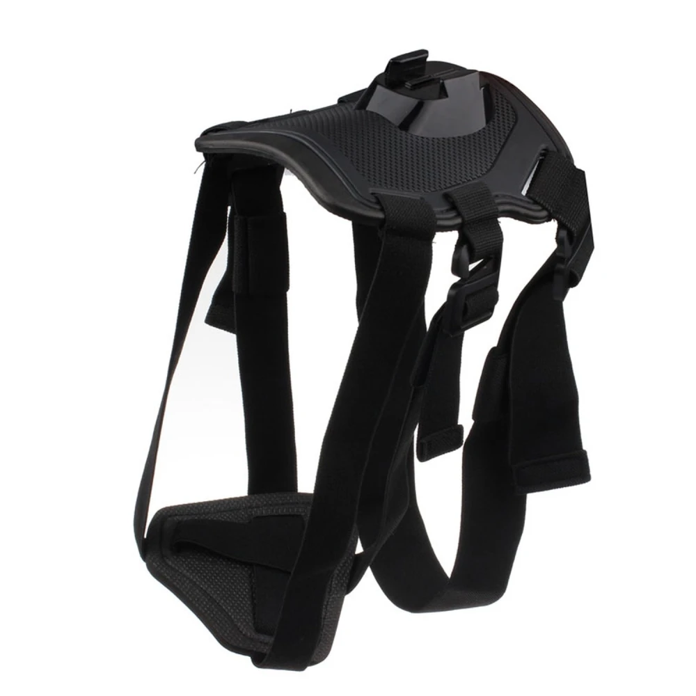 Detalle del arnés para perro ajustable y acolchado para cámaras deportivas