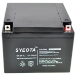 Bateria plomo sellada SY24-12 12V 24Ah recargable en detalle