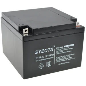Songyuan SY24-12 12V 24Ah Sealed Lead Acid Battery, Rechargeable