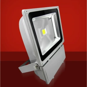 100W LED Floodlight 3000K Warm White for Outdoor Lighting