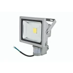 20W LED Floodlight with Motion Sensor and 6000K White Light