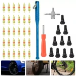 TSX TOOL tyre repair and valve removal tool set, 43 pieces